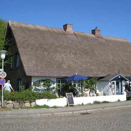 Austernfischer Heikendorf